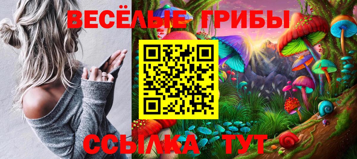 Галлюциногенные грибы Psilocybine cubensis  Вход с VPN  Кизляр  купить наркотики цена  Псилоцибиновые грибы MAGIC MUSHROOMS 